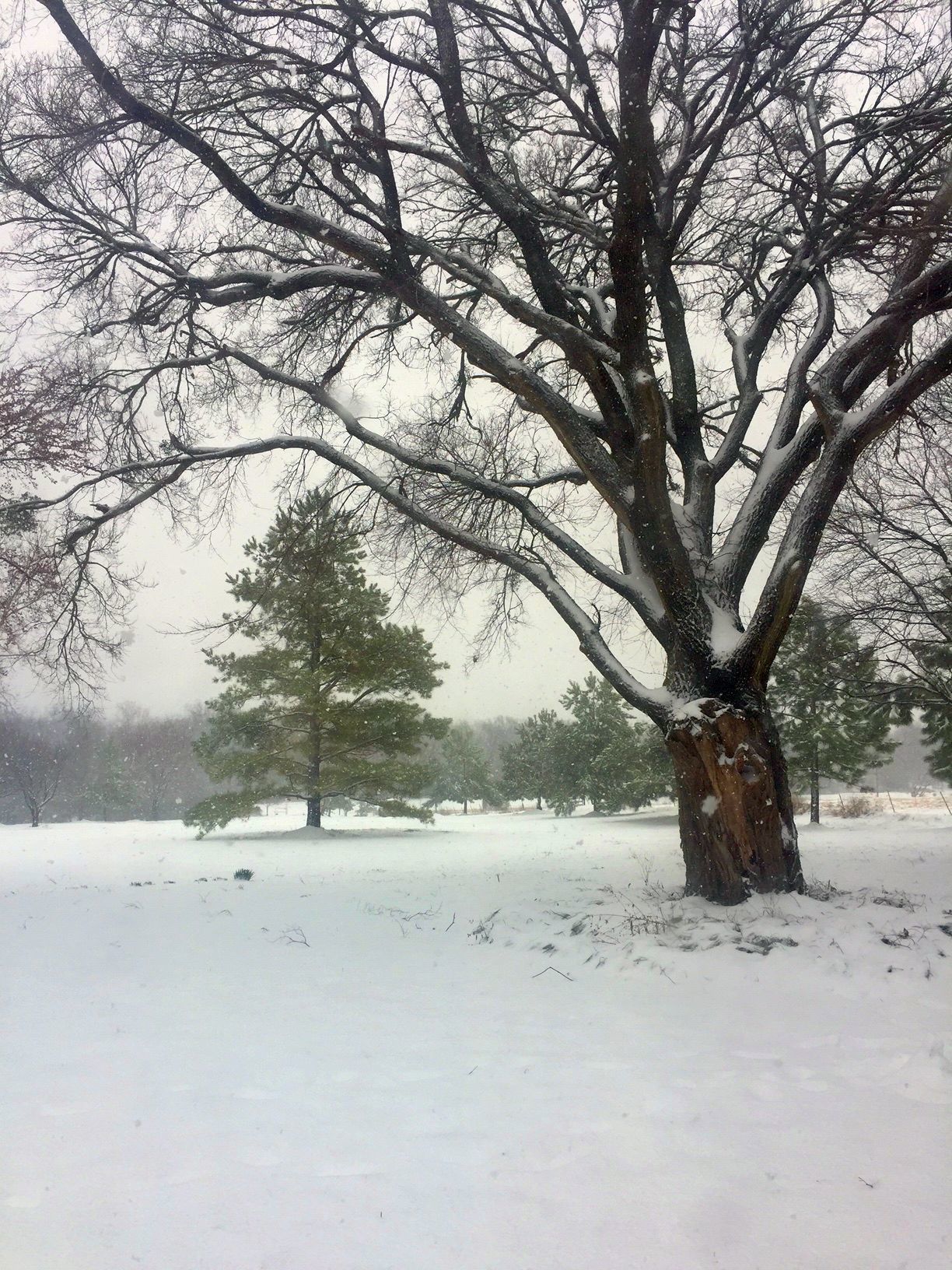 Wagoner County Snow Day